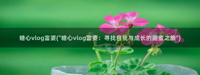 糖心vlgo派大星在线播放