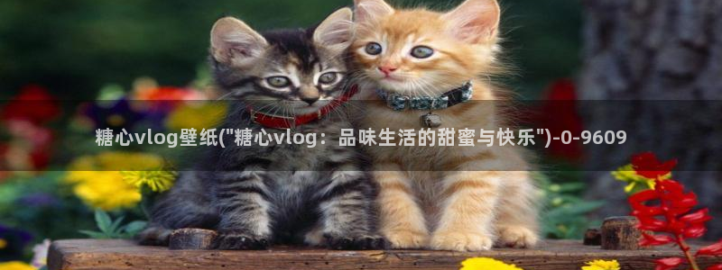 糖心vlgo水冰月麻豆