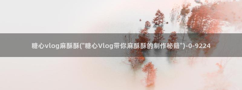 糖心vlogl