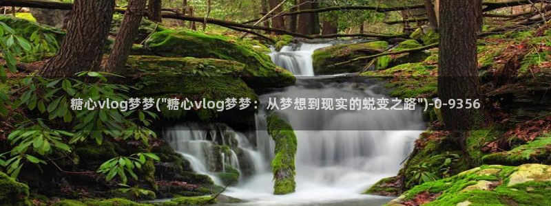 糖心vlog深夜释放自己ios：糖心vlog梦梦(\