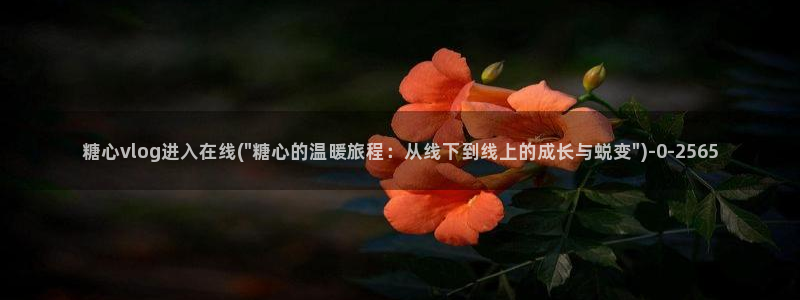 糖心vlog深夜释放自己视频糖心vlog：糖心vlog进入在线(\