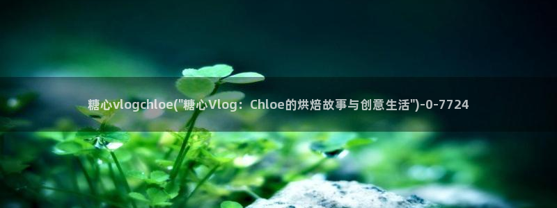 黑椒盖饭糖心vlog：糖心vlogchloe(\