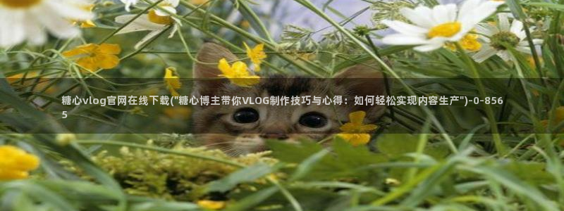 糖心vlog短视频