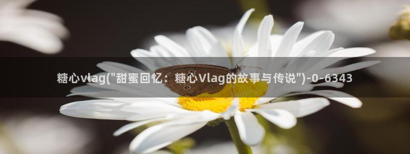 糖心vlog免费观