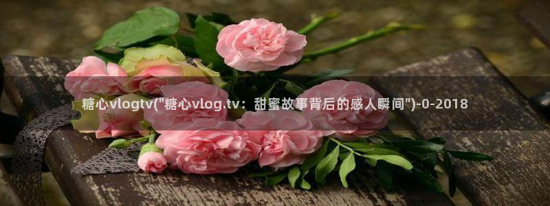 糖心vlog 破解版