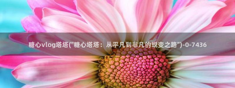 糖心官方vlog