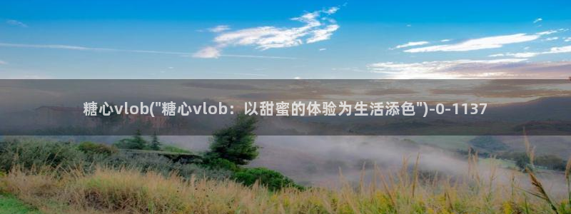 t糖心vlog