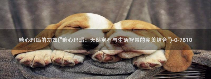 糖心vlog女